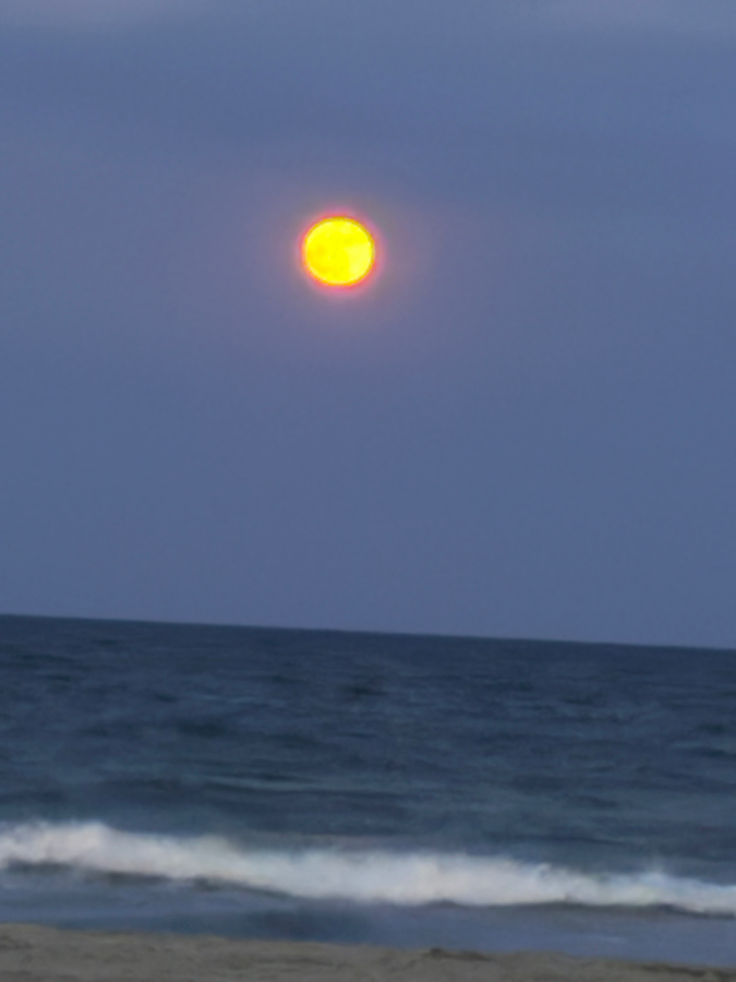 Nick